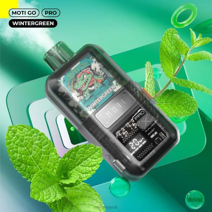 MOTI Vape Pods UK 202824 | MOTI Go Pro Disposable Vape (5%, 12000 Puffs) Wintergreen
